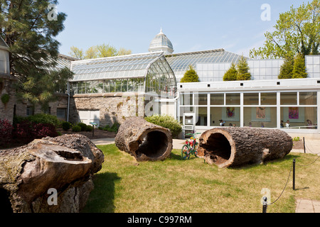 Large hollow logs behind the Palm House at the Franklin Park Conservatory in Columbus, Ohio. Stock Photo