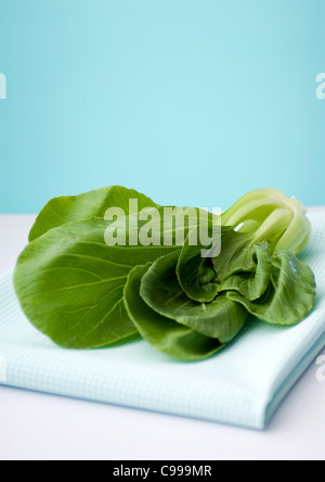 Bok choy (Brassica rapa - Chinese cabbage) Stock Photo