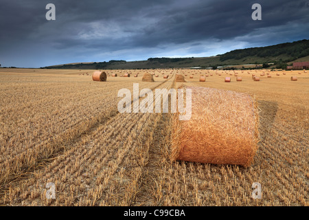 Storm clouds over field of Straw bales Longfurlong, West Sussex Stock Photo