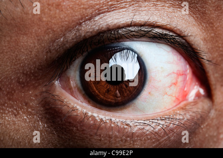 Close up on human eye, looking into camera. Stock Photo