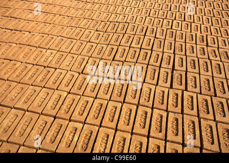 Brick making, Madhya Pradesh, India Stock Photo