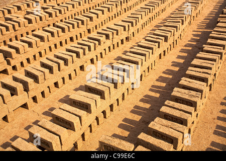 Brick making, Madhya Pradesh, India Stock Photo