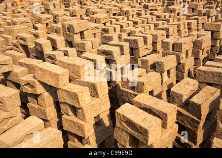 Brick making, Madhya Pradesh, India Stock Photo