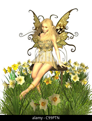 Daffodil Fairy - 1 Stock Photo