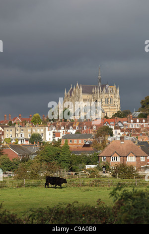 Cathedral Church of Our Lady and St Philip Howard Arundel West Sussex Stock Photo