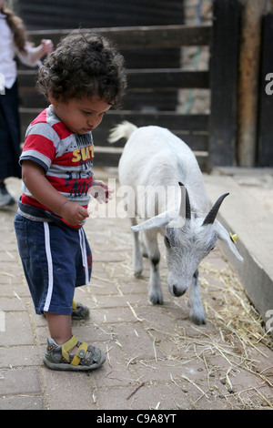 Child and goat in a petting zoo Stock Photo