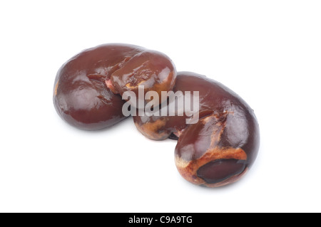 Kidneys - John Gollop Stock Photo
