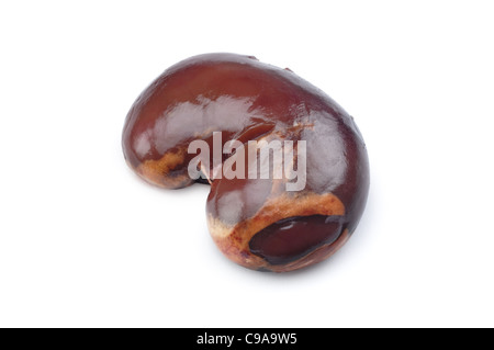 Kidneys - John Gollop Stock Photo