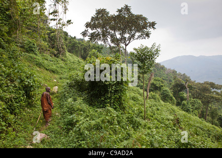 People of Mukuno village, traditional Batwa indigenous tribe from the Bwindi Impenetrable Forest in Uganda. Stock Photo