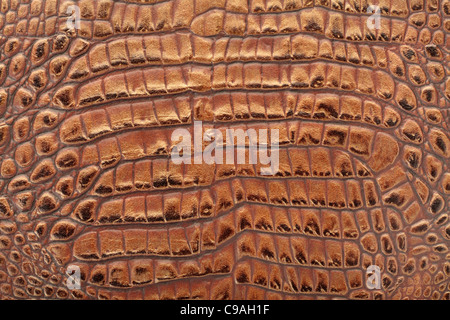 Crocodile leather Stock Photo