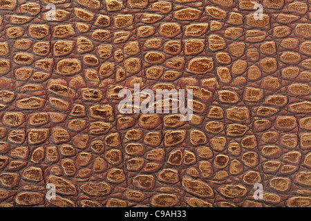 Reptile leather Stock Photo