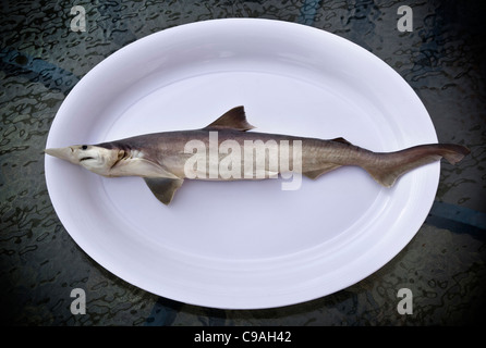 https://l450v.alamy.com/450v/c9ah42/raw-baby-shark-an-asian-food-delicacy-an-example-of-the-strange-or-c9ah42.jpg