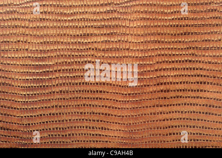 Reptile leather texture background Stock Photo