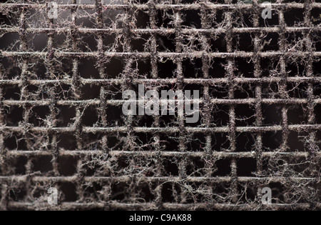 Black Old grungy speaker holes. Texture. Dusty. Stock Photo