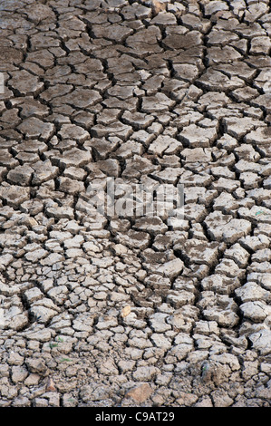Dry cracking clay soil pattern. Andhra Pradesh, India. Stock Photo