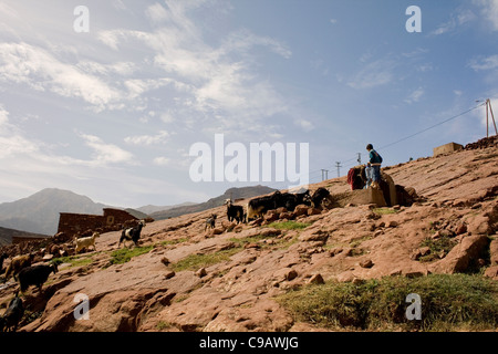 Two young Moroccan boys fetching water from the well Stock Photo