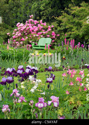 Iris and other flowering plants with chair at Schriners Iris Garden. Oregon Stock Photo
