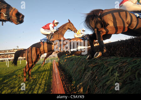 Horses take the open ditch in front of the stands in the toteswinger Handicap Chase  at Huntingdon Racecourse, Brampton, Cambridgeshire - 19/11/2011 - CREDIT: Martin Dalton/TGSPHOTO Stock Photo