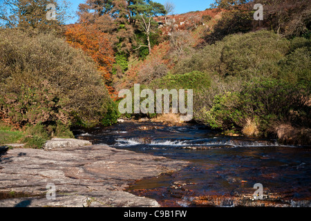 Autumn colour and the River Dart flowing through the landscape. Stock Photo