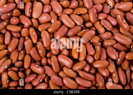 red beans close up shot for background
