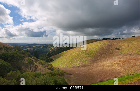 Scenic rolling grassland hills of coastal central california under moody skies Stock Photo