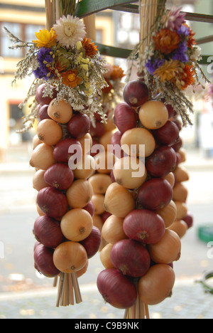 Braid of red and yellow onions with straw flower decoration on sale on the market of Erfurt's cathedral square Domplatz Stock Photo