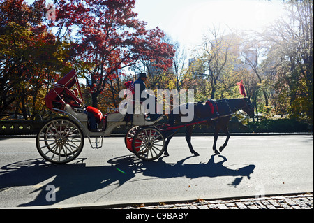 Silhouetted horse and carriage for tourists in Central Park Manhattan New York NYC USA America Stock Photo