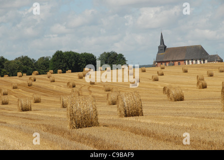 Harvested wheat field with corn balls rolled up near Yvetôt in the Pays de Caux of Normandy, France Stock Photo