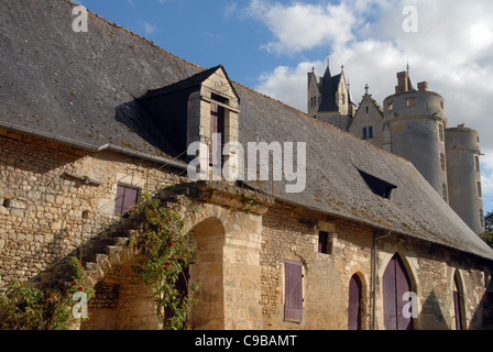 Château de Montreuil-Bellay seen from the farming entity at its foot close to the Thouet river in Maine-et-Loire, France Stock Photo