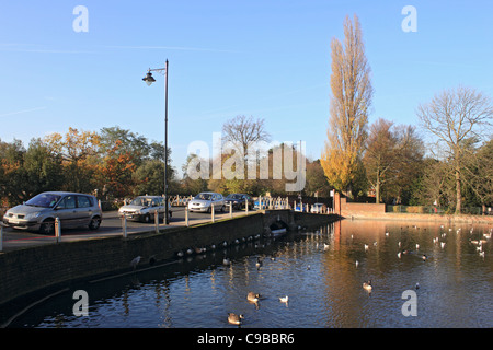 Carshalton Ponds Sutton South London England UK Stock Photo