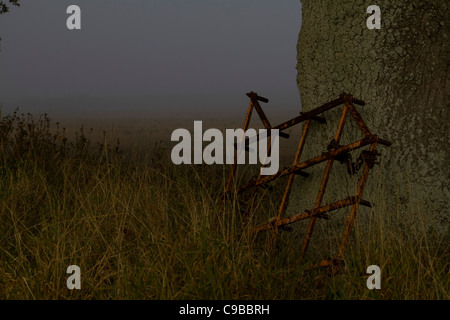 A rusting piece of old farming equipment leans against a tree on a misty autumn morning in a field near Stanton in Suffolk, Engl Stock Photo