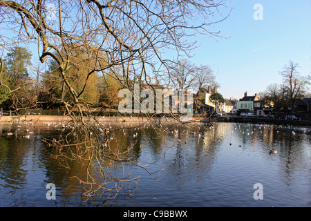 Carshalton Ponds Sutton South London England UK Stock Photo