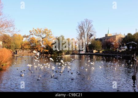 Carshalton Ponds Sutton South London England UK Stock Photo