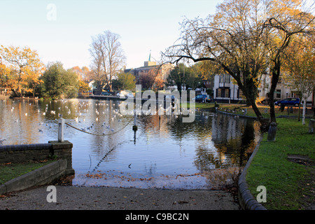 Ford at Carshalton Ponds Sutton South London England UK Stock Photo