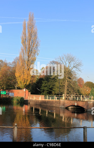 Carshalton Ponds Sutton South London England UK Stock Photo