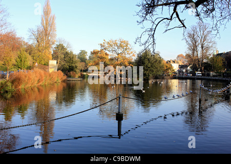 Carshalton Ponds Sutton South London England UK Stock Photo