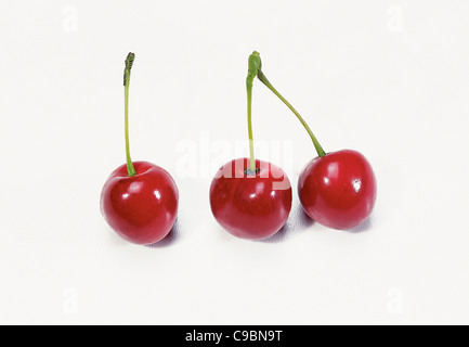 Cherries on white background Stock Photo