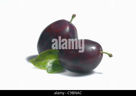 Plums on white background Stock Photo