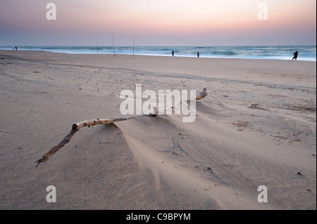 Branch buried in the sand on the beach Stock Photo