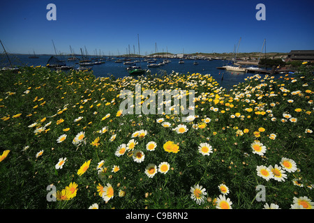 Saldanha Bay Yacht Club, Saldanha Bay, Western Cape Province, West Coast, South Africa. Stock Photo