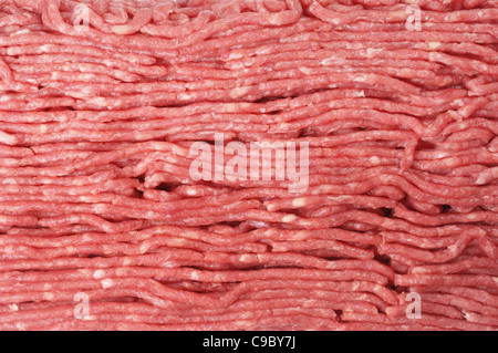 Minced beef - John Gollop Stock Photo