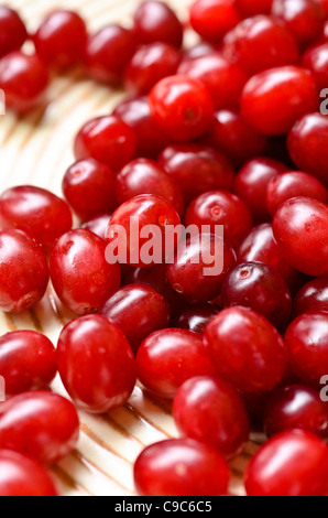 Cornelian cherry (Cornus mas) Stock Photo