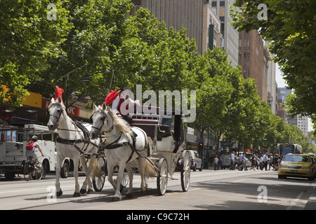 Sunny Melbourne day on the City transport systems.horse draw carriage on Swanston Street in spring Stock Photo