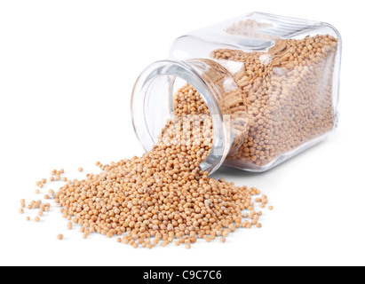 Mustard seeds is scattered on a white background from glass bottle Stock Photo