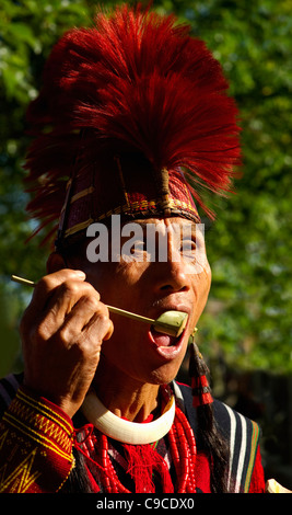 India, South Asia, Nagaland, Naga Warrior tribe man in traditional costume and feather headdress. Stock Photo