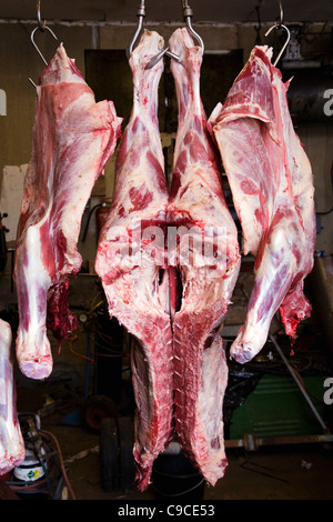Newly cut up cow hanging from hooks. Stock Photo