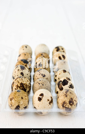Quail eggs Stock Photo