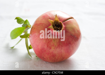 Fresh pomegranate Stock Photo