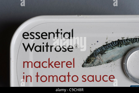 Tin of Waitrose mackerel in tomato sauce Stock Photo