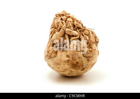 Celeriac on a white background Stock Photo